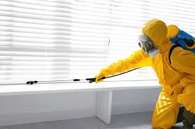 Reliable Glen Rose, TX Pest Control Solutions